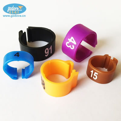 Plastic Clip Ring for Small Bird-lovebird   