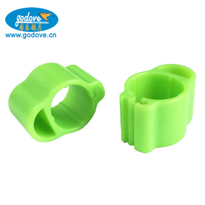 Open plastic Belgium ring-can put chips