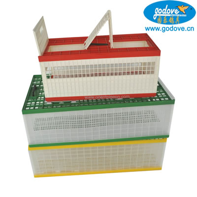 Foldable Plastic Transportation Cage for Pigeon