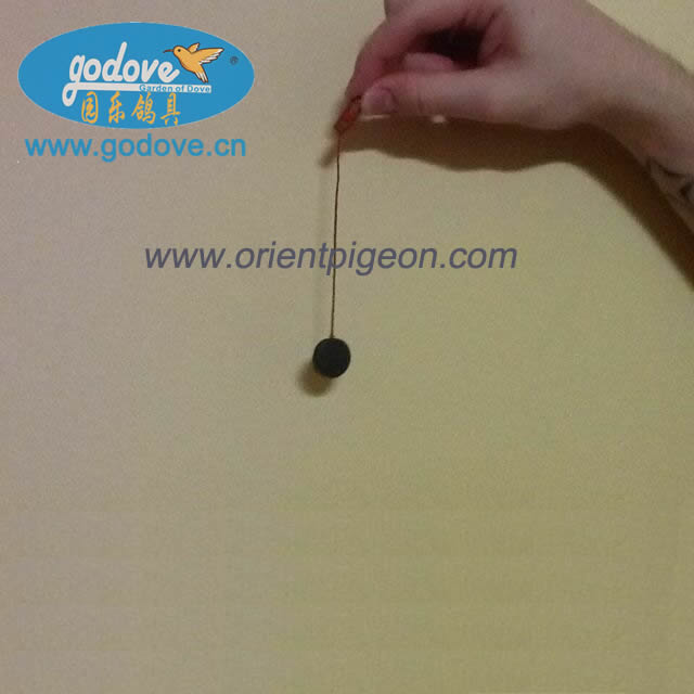  Bird Magnetic Sexer-Check Pigeon/Bird Female and Male Tool