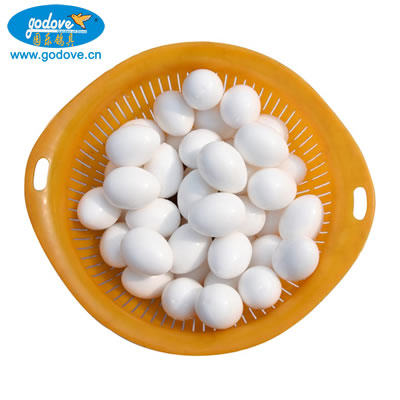 Dummy Plastic Pigeon Eggs for Hatching Simulation Eggs (Solid/Hollow Water Injection)