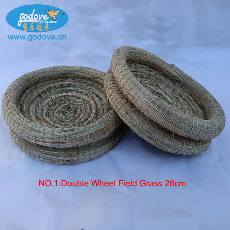 Pigeon Grass Nest
