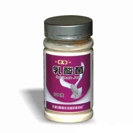 Lactobacillus for Pigeon
